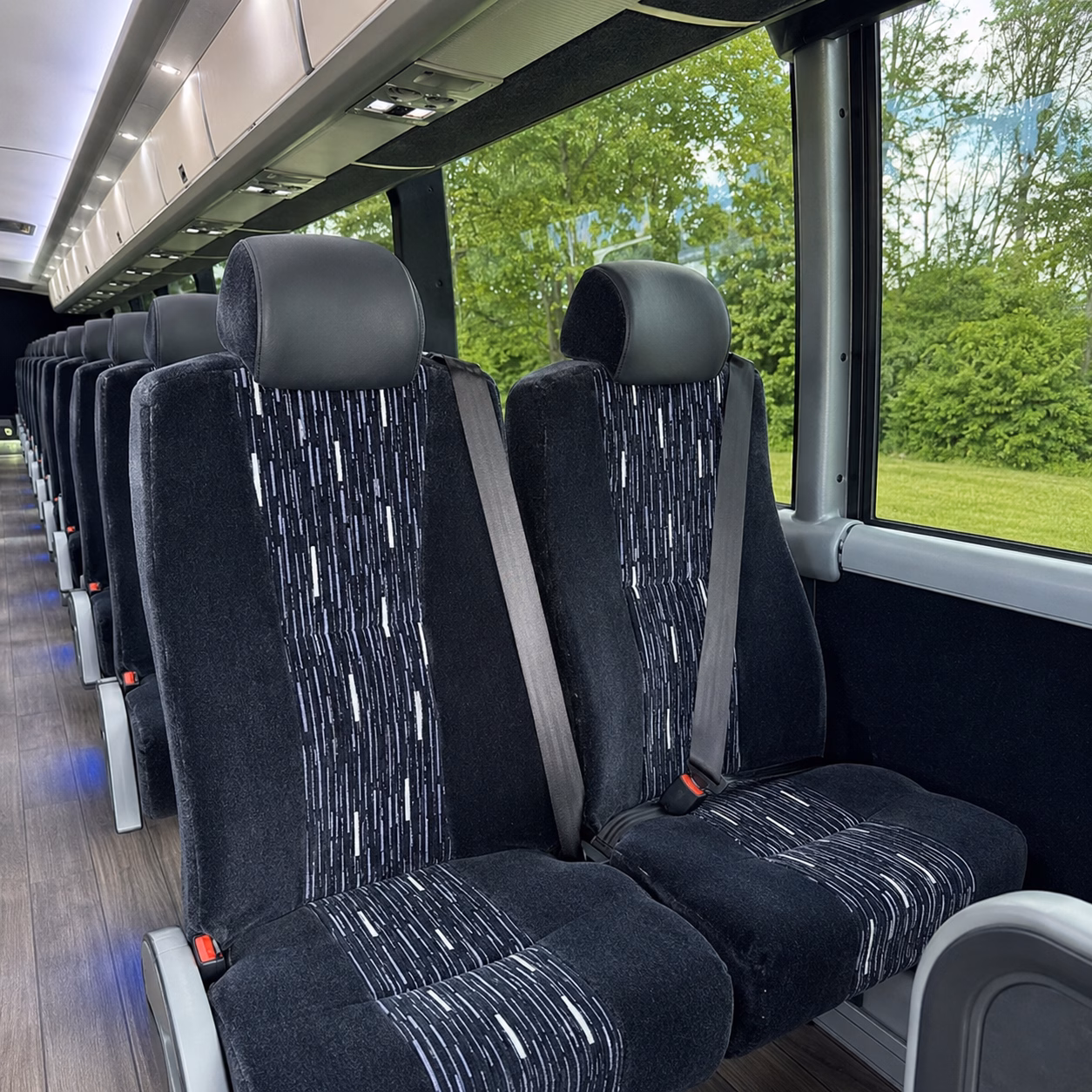 alexandria charter bus services inside