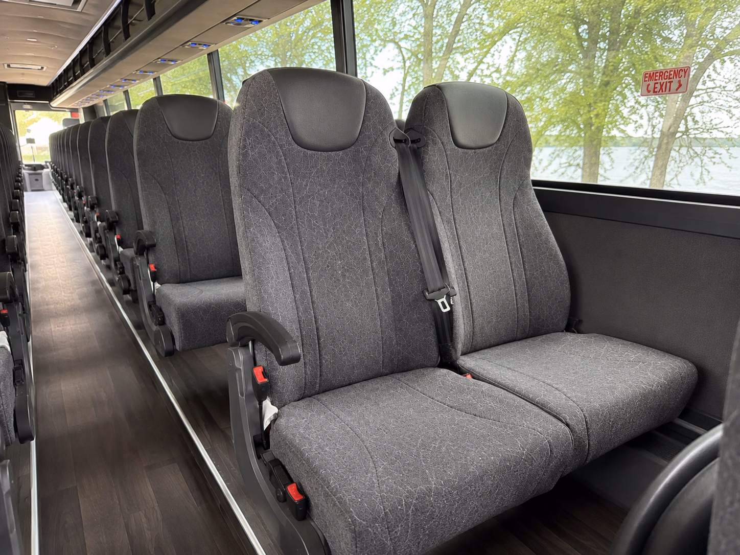 alexandria family reunion and vacation bus rentals