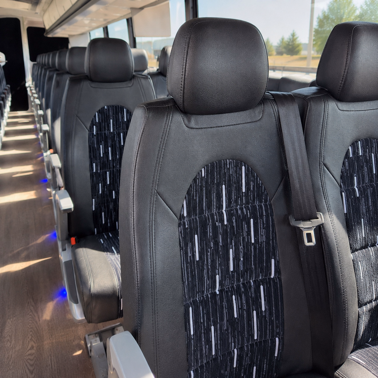 budget friendly school charter bus prices in alexandria
