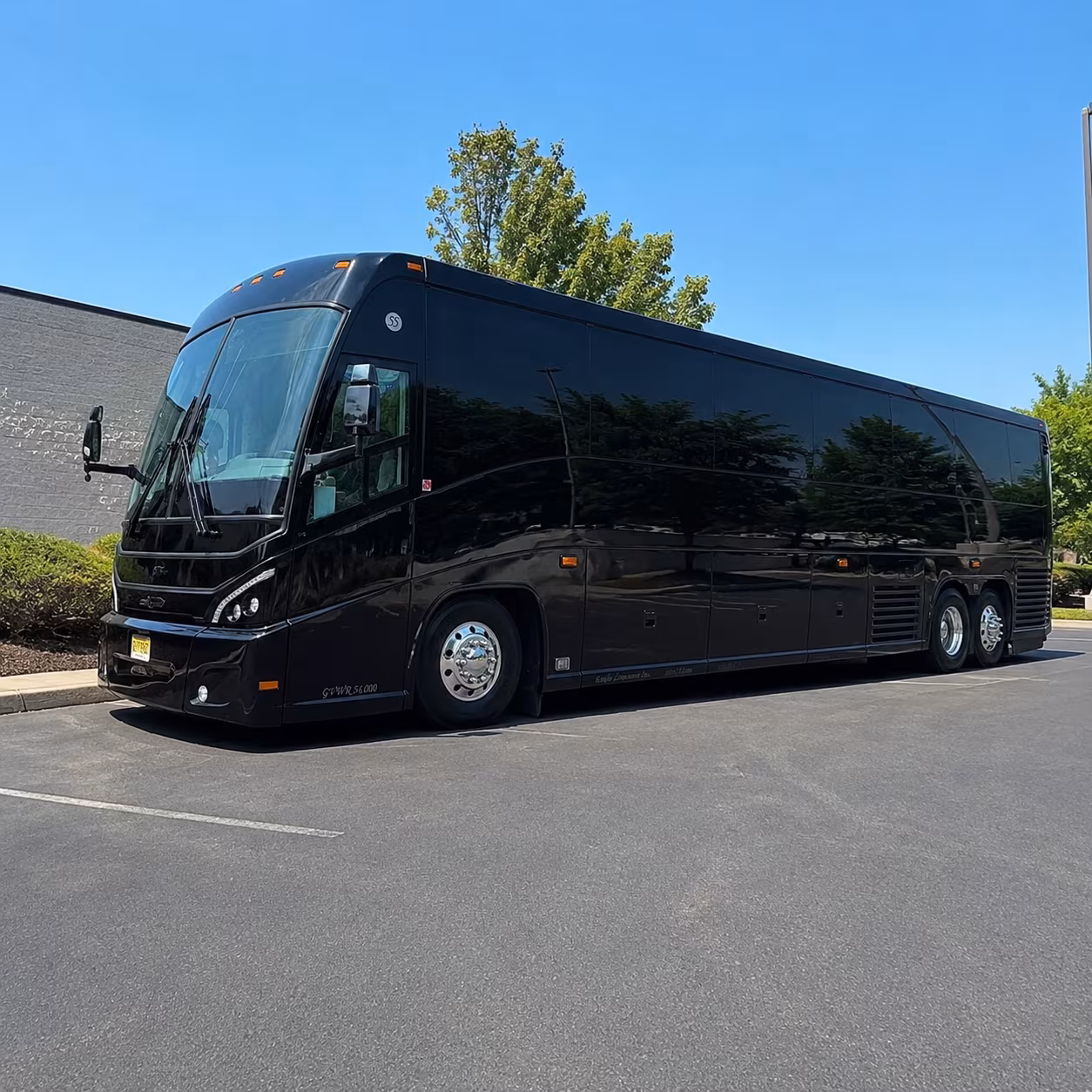 emergency evacuation charter buses in alexandria